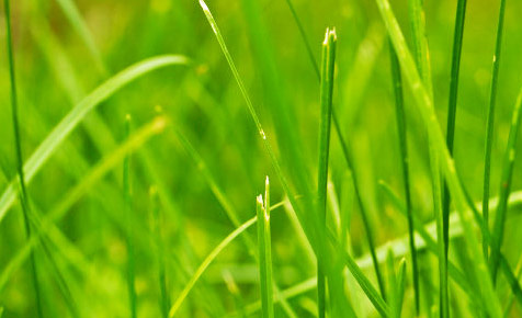 电话在线轰炸网页版